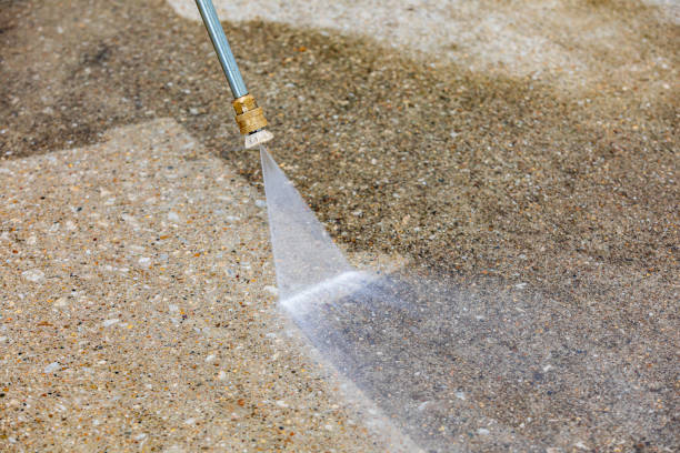 Best Pre-Holiday Cleaning  in Keokea, HI